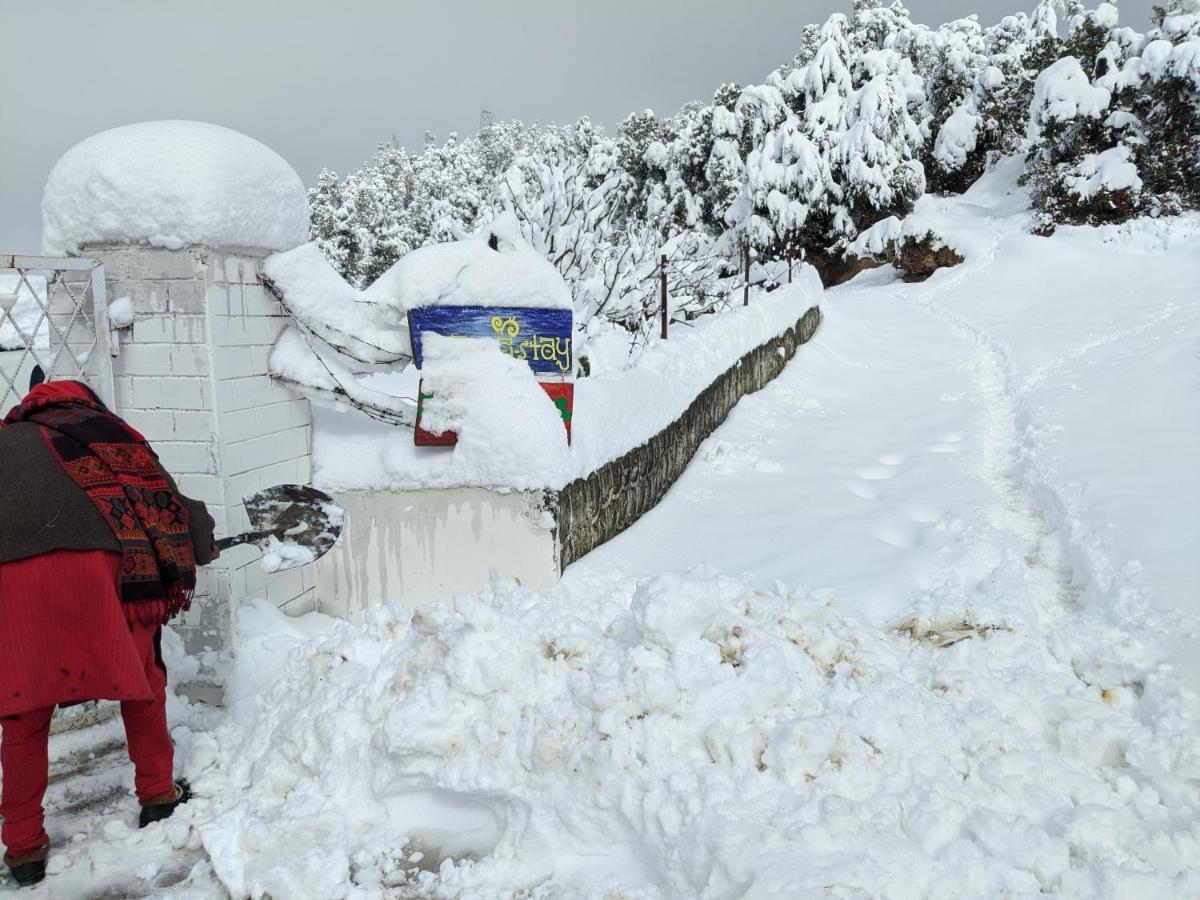 Namastay Himalayas, 卡纳塔尔 外观 照片