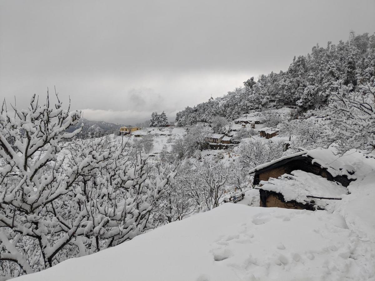 Namastay Himalayas, 卡纳塔尔 外观 照片