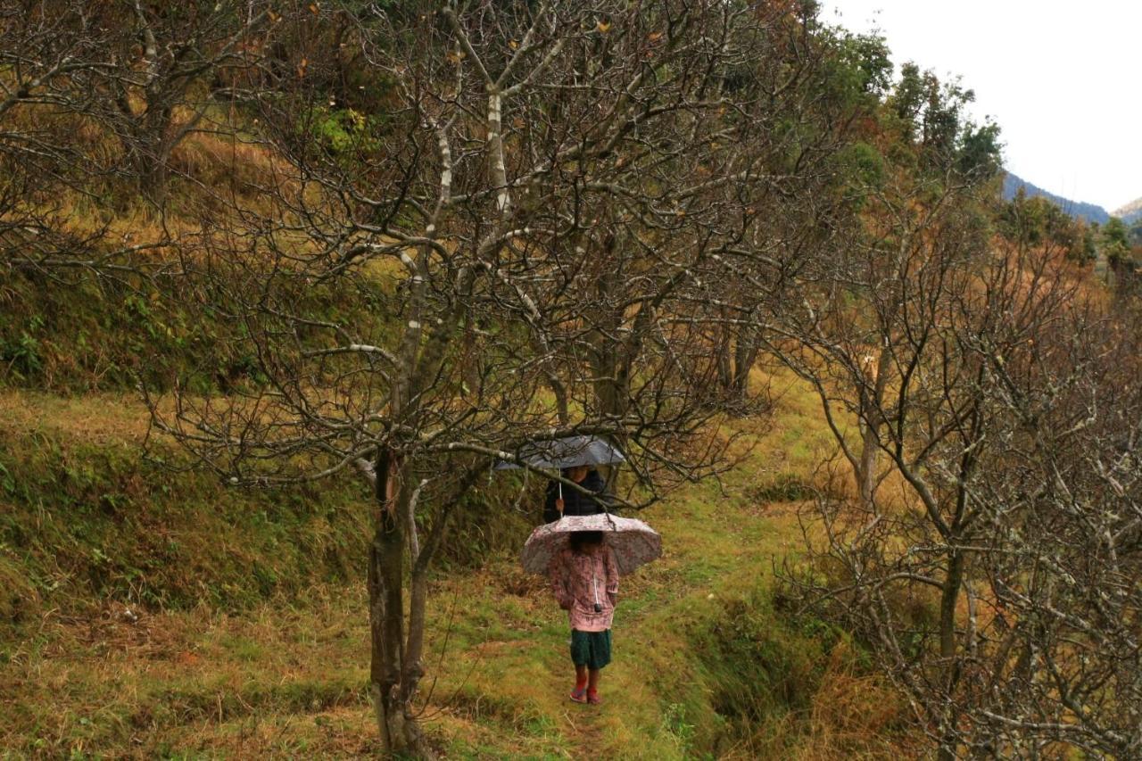 Namastay Himalayas, 卡纳塔尔 外观 照片