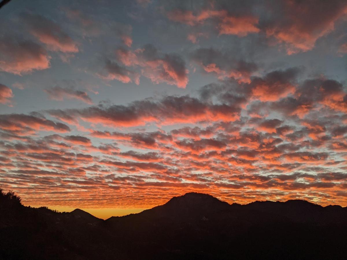 Namastay Himalayas, 卡纳塔尔 外观 照片