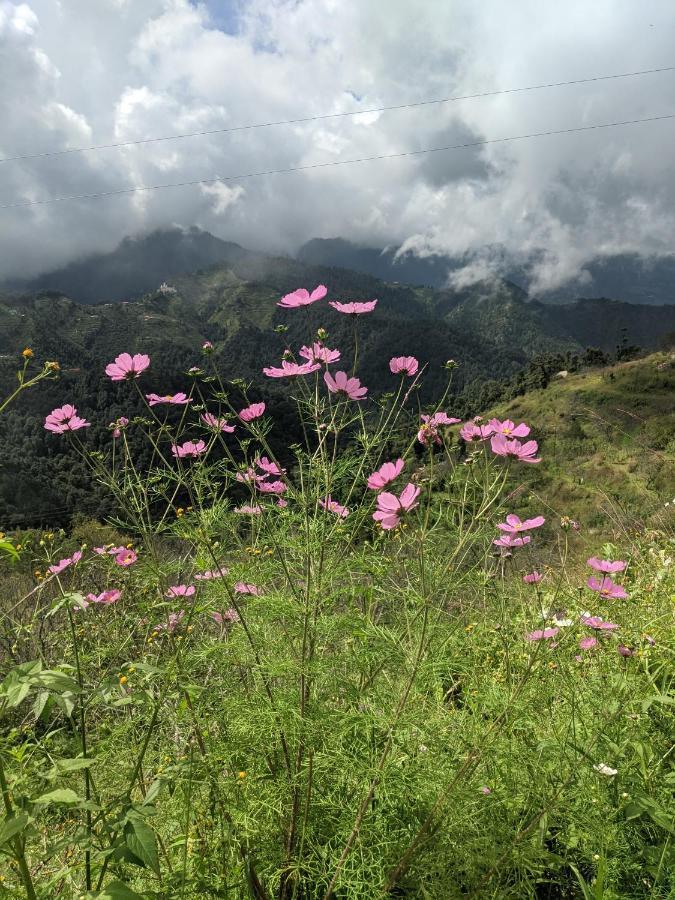 Namastay Himalayas, 卡纳塔尔 外观 照片